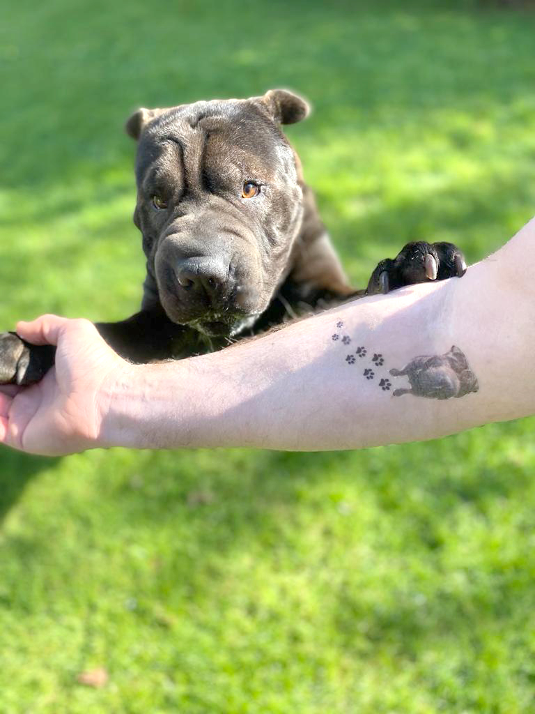 PawPrint fake Tattoos for Pets
