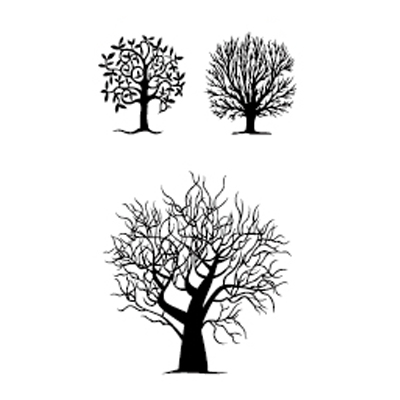 Tree tattoos